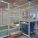 버니프렌즈호텔 이미지