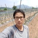 오덕농장 네이버블로그
