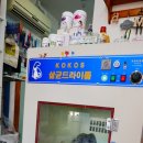 꼬마애견샵 이미지