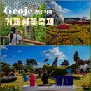 해금강농장 | 거제도 아이랑 가볼만한곳 거제섬꽃축제 경남 국화축제