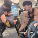 짐포유 이미지