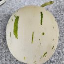 성현농장 이미지