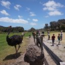 유학농장 이미지