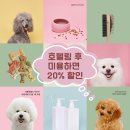 뽑기방 버들강아지 | 인천공항 애견호텔 강아지미용 비용도 엄청 착하네