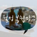 봉쉡망고월정점 | [제주월정리] 맛있는 망고주스를 마실 수 있는 월정리 카페 '봉쉡망고'
