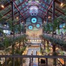 더티트렁크 이미지