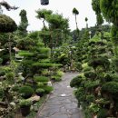 카페포렛 | 정읍 카페 <제이포렛> 전라북도 민간정원 솔직후기