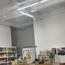 애견은 내친구 | 파주 애견카페 대관 플루프 후기 | 낯가리는 강아지 모임 장소로 좋았던 곳