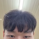 7월 하반기