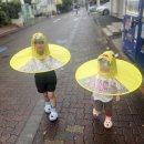 요즘 일본에서 유행중인 어린이 우산. 이미지