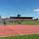 우리집 똥강아쥐 이미지