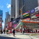 시티뉴욕(City New York) 이미지