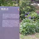 경복궁 (3) 자경전일원,동궁일원