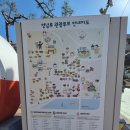 밀양대로 | 밀양시 쉼과 사색의 공간, 국보, 조선 16경의 하나, "영남루" 관람 후기