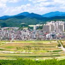 김유신공인중개사사무소 이미지