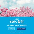 힐튼 이미지