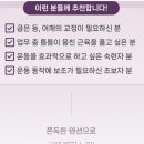 요가그루