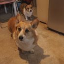 마장농장 이미지