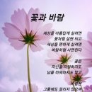 반가운 해후님 이미지