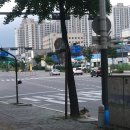백마오토바이센타 - 성북구 돌곶이로 39-1 | 버려진 개 유기견 신고하는 법 feat 동물보호센터 보낸 후기