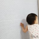 에스지몰 - 서초구 강남대로51길 10 | 에스지몰