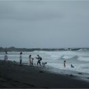 염포해수욕장 이미지