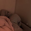 기지배 Daum카페