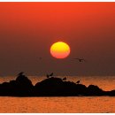 동해일출 이미지