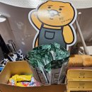 굿뽑기 | 군자역 삼겹살 맛집 노릇 키조개관자 고기 묵은지 조합은 국룰 콜키지프리