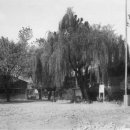 동명중학교 이미지