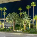 (주)제일렌트카 | 제주도 렌트카 가격비교 사이트 추천 2박3일 비용 및 이용후기