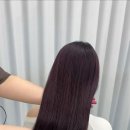 블랙컷트