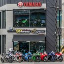 와일드모터스 이미지