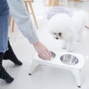 펫플래닛