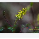 감천 소리 이미지