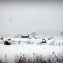 새바라기 이미지