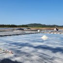 엘도라도 펜션 이미지