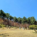 이춘원선생묘역 및 신도비 이미지