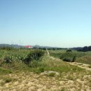 섬마을바다 이미지