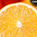 황태자농장 이미지