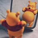 벨라젤라 | 벨라 in 제주 2025.10.27-10.29 벨라와 내편이의 31주 태교여행