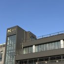 돌고래약국 | 제주 돌고래 요트 'M1971'요트투어에서 돌고래 본 후기