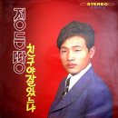 정든 땅 / 정무영 (1971) 이미지