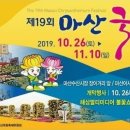 11월8일 마산국화축제(마산 가고파수산시장 장어거리앞 방재언덕) 오후7시 이미지