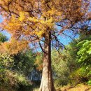 (주)포항정비 | [포항] 기청산 식물원 | 11월 말 솔직후기｜가을 끝자락 방문은 어떨까?