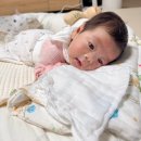 가봄 | 영등포 산후도우미 업체 가봄 관리사님 추천 및 3주 후기