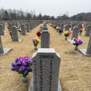 꿈꾸는농부오토캠핑장 이미지