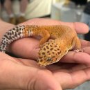 GS25부산광안점 이미지