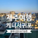 올레세탁소 | 제주여행 숙소, 서귀포 올레시장 도보로 가능한 가성비 숙소 &#39;케니 서귀&#39;