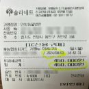평촌동물병원 | 평촌학원가 인방동물병원 십대인대수술 후기